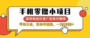 手机零撸小项目，复制粘贴抖音广告即可赚钱，平台大水，任务不限量，一…-KJ分享