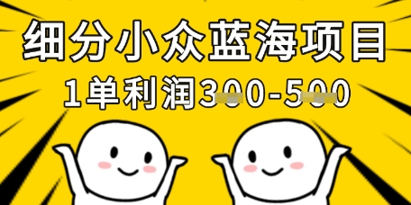 细分小众蓝海项目，一单利润3张，每月收入稳定过1w+-KJ分享