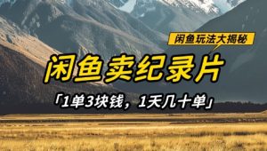 闲鱼卖纪录片1单3块钱，1天几十单，项目稳定有潜力-KJ分享