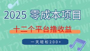 2025年零成本项目，十二个平台撸收益，单号一天轻松200+-KJ分享