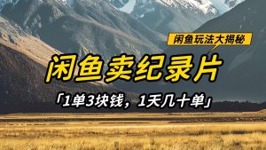 闲鱼卖纪录片，简单又赚钱的小项目，1单3块钱  1天几十单-KJ分享