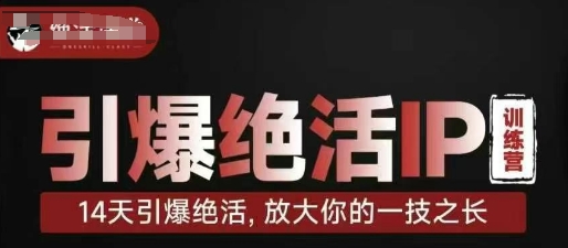 引爆绝活IP训练营，14天引爆绝活，放大你的一技之长-KJ分享