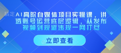 AI高阶自媒体项目实操课,讲透账号运营底层逻辑,从发布视频到规避违规一网打尽-KJ分享