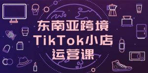 东南亚跨境TikTok小店运营课，掌握店铺设置与流量转化核心技巧-KJ分享