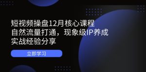 短视频操盘12月核心课程：自然流量打通，现象级IP养成，实战经验分享-KJ分享