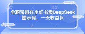 全职宝妈在小红书卖DeepSeek提示词，一天收益1k-KJ分享