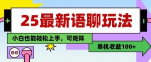 25年最新语聊玩法，纯手工，单机收益100+，小白也能轻松上手，可矩阵操作-KJ分享