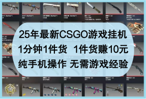 25年最新CSGO游戏挂机，1分钟1件货，1件货赚10元，纯手机操作，无需游戏经验-KJ分享
