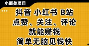 小而美的项目，抖音小红书B站视频点赞、关注、评论就能挣钱，简单无脑立见收益，妥妥的零撸项目-KJ分享