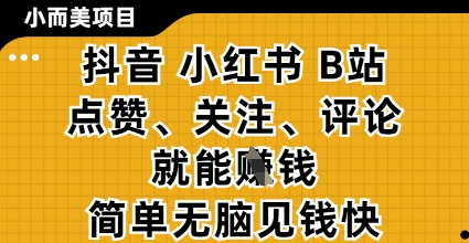 小而美的项目，抖音小红书B站视频点赞、关注、评论就能挣钱，简单无脑立见收益，妥妥的零撸项目-KJ分享