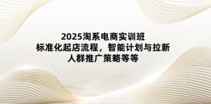 2025淘系电商实训班：标准化起店流程，智能计划与拉新，人群推广策略等等-KJ分享