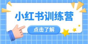 小红书训练营，助小白入门，掌握技巧变达人，课程实操又全面（12节课）-KJ分享