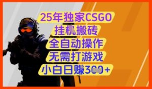 25年独家CSGO挂G搬砖，全自动操作，无需打游戏，小白日入3张+-KJ分享