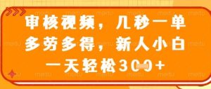 视频审核员，几秒一单，不限时间，不限地点，多做多得，新人小白一天轻松几张+-KJ分享
