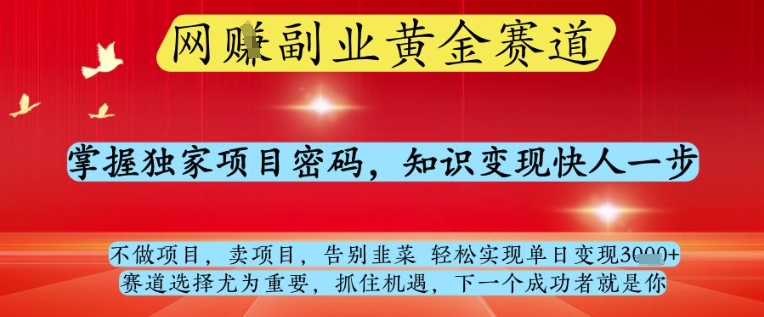 网创副业黄全赛道，掌握独家项目密码，知识变现快人一步，告别韭菜轻松实现单日变现1k+-KJ分享