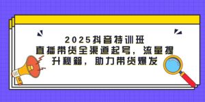 2025抖音特训班：直播带货全渠道起号，流量提升秘籍，助力带货爆发-KJ分享