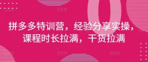 拼多多特训营，经验分享实操，课程时长拉满，干货拉满(更新25年4月)-KJ分享