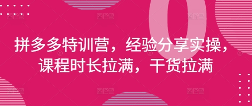拼多多特训营，经验分享实操，课程时长拉满，干货拉满(更新25年4月)-KJ分享