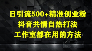日引流500+精准创业粉，抖音共情自热打法，工作室都在用的方法-KJ分享