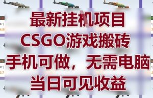 最新挂G项目，CSGO游戏搬砖，手机可做，无需电脑，当日见收益-KJ分享
