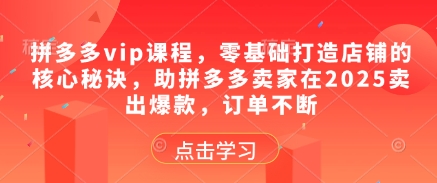 拼多多vip课程，零基础打造店铺的核心秘诀，助拼多多卖家在2025卖出爆款，订单不断-KJ分享