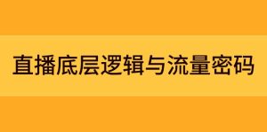 直播底层逻辑与流量密码：定位模型+案例拆解，急速流承接与数据优化全攻略-KJ分享