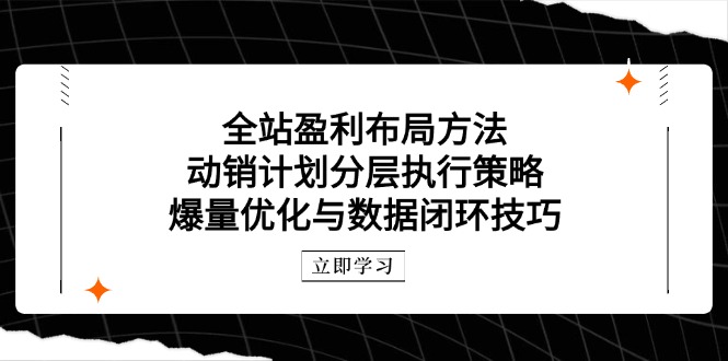 全站盈利布局方法：动销计划分层执行策略，爆量优化与数据闭环技巧-KJ分享