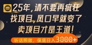 什么？25年你还在疯狂找项目做，醒醒吧，看完这些你全都懂了-KJ分享