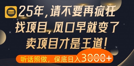 什么？25年你还在疯狂找项目做，醒醒吧，看完这些你全都懂了-KJ分享