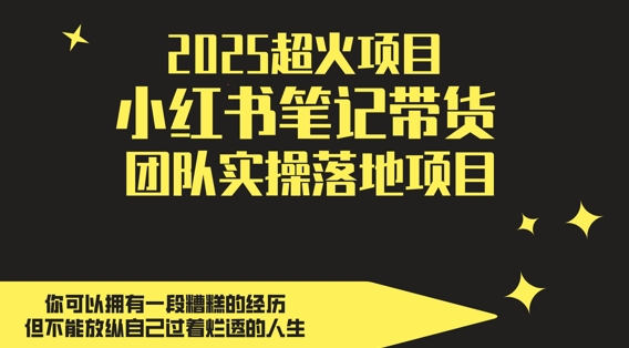 2025超火项目，副业最佳选择，小红书笔记带货团队实操落地项目，，轻松日入5张-KJ分享