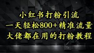 小红书打粉引流，一天轻松500+精准流量，大佬都在用的打粉教程-KJ分享