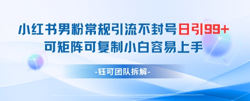 小红书男粉常规引流不封号日引99+变现简单 可矩阵可复制小白容易上手-KJ分享