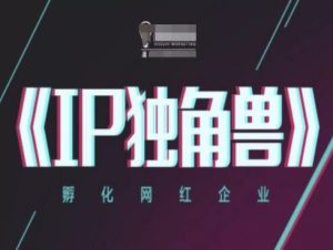 IP独角兽，孵化网红企业，ip教程-KJ分享