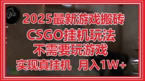 2025最新游戏搬砖，CSGO挂机，不需要玩游戏，实现真挂机，月入1W+-KJ分享