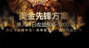 免费技术！小众赛道！一年布局抵三年努力，每日800+-KJ分享