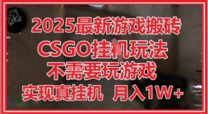 2025最新游戏搬砖，CSGO挂G，不需要玩游戏，实现真挂G，月入1W+-KJ分享