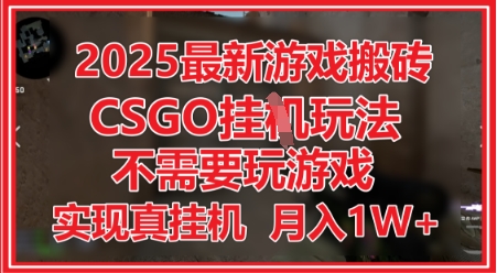 2025最新游戏搬砖，CSGO挂G，不需要玩游戏，实现真挂G，月入1W+-KJ分享