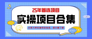 2025年实操六大项目实操演练，挂机类型，AI直播类型，轻资产创业类型，…-KJ分享