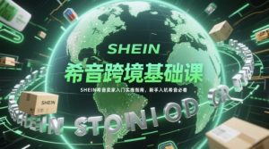 希音跨境基础课，SHEIN希音卖家入门实操指南，新手入坑希音必看-KJ分享