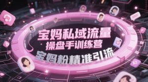 宝妈私域流量操盘手训练营，宝妈粉精准引流-KJ分享