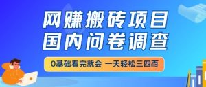 网创搬砖项目，国内问卷调查，小白轻松上手，一天三四张的也不难，干就完了-KJ分享