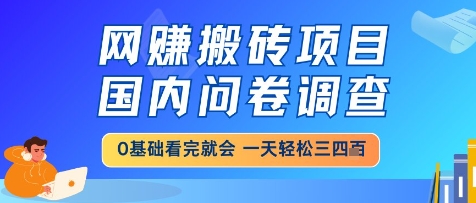网创搬砖项目，国内问卷调查，小白轻松上手，一天三四张的也不难，干就完了-KJ分享