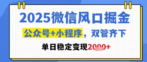 2025微信风口掘金，公众号+小程序双管齐下，单日稳定变现1k+-KJ分享