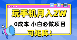 玩玩手机月入20000+，0成本小白必做项目，可矩阵-KJ分享