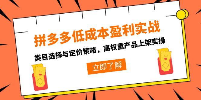 拼多多低成本盈利实战，类目选择与定价策略，高权重产品上架实操-KJ分享