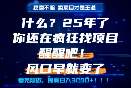 什么？25年你还在疯狂找项目做，醒醒吧，看完这些你全都懂了！【揭秘】-KJ分享