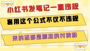 小红书发笔记一直违规，套用这个公式不仅不违规，来的还都是精准的付费粉-KJ分享