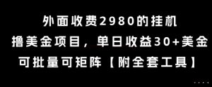 外面收费2980的挂G撸美金项目，单日收益30+美金，可批量可矩阵-KJ分享