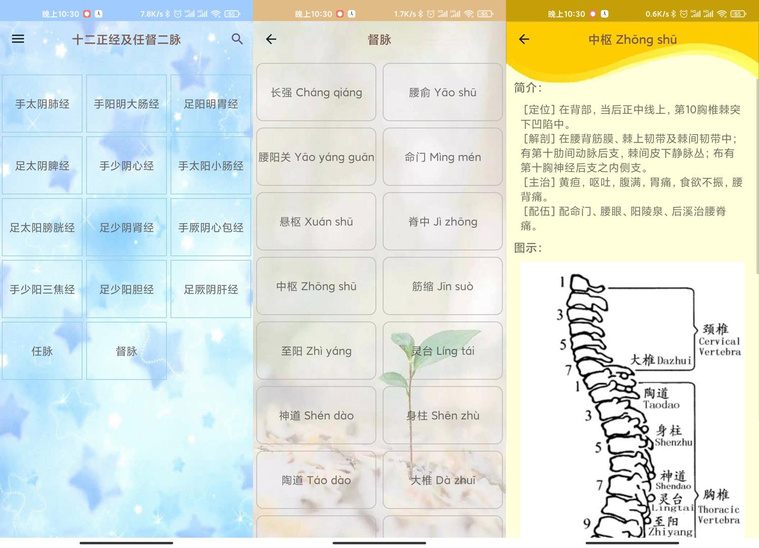 安卓人体穴位图解v3.1.8可离线版-KJ分享