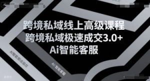 跨境私域线上高级课程，跨境私域极速成交3.0+Ai智能客服-KJ分享